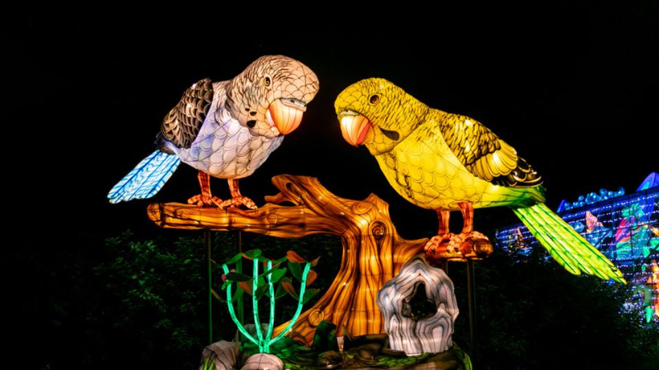 asian small clawed otters