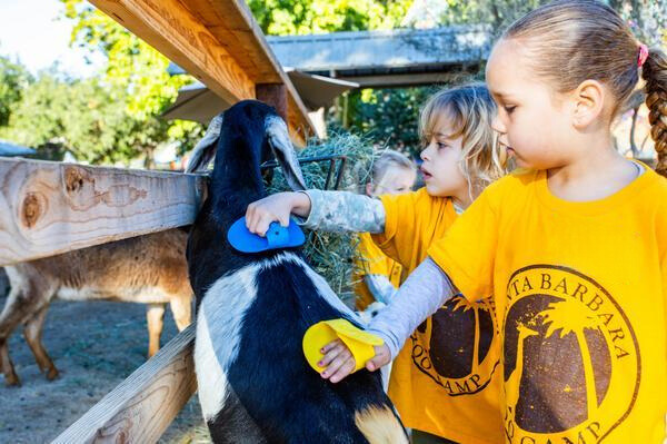 极速权威1分钟赛车168体彩网