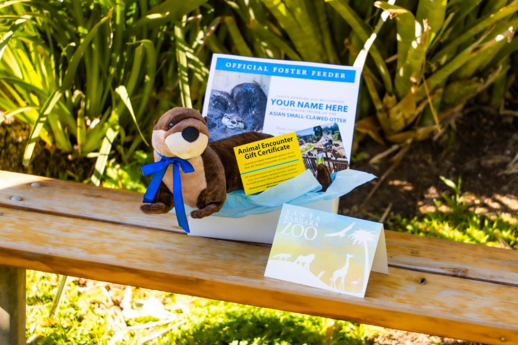 black gibbon sitting on a branch